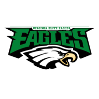 Virginia Elite Eagles Logo (1)