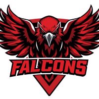 Virginia Falcons